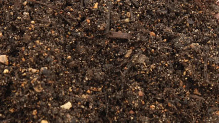GARDEN MIX